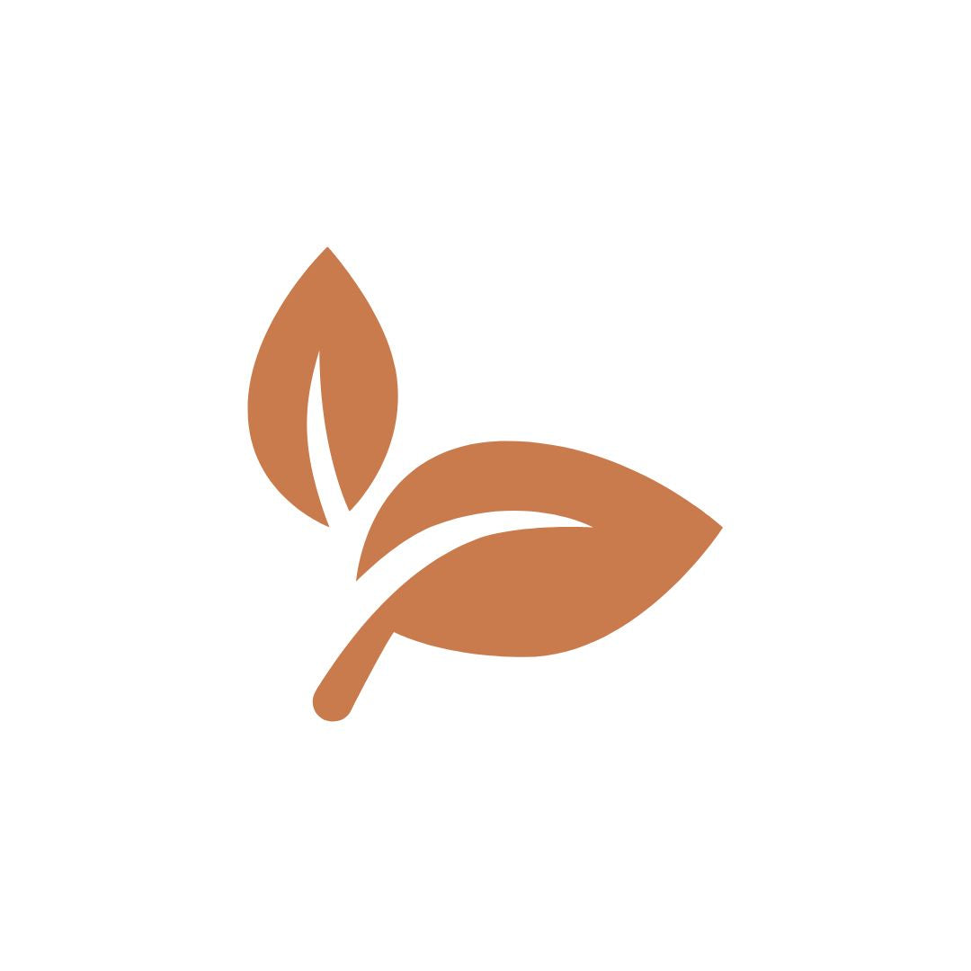 Alt Image